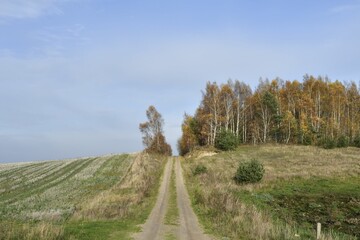 Rural dirt road through autumn fields and trees.