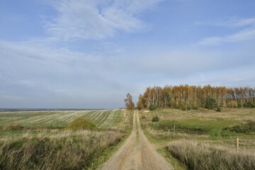 Rural dirt road through autumn landscape