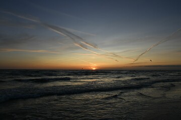 Ocean sunset with gentle waves and a bird in flight.