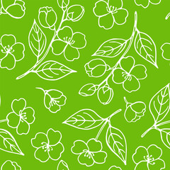 Seamless pattern with leaves and flowers of jasmine. Hand drawn vector illustration.