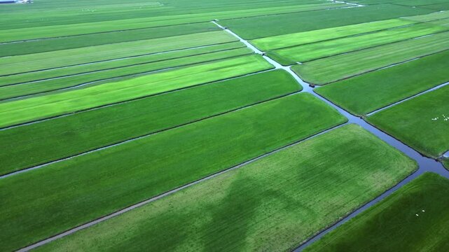 Fields so lush, world feels slow, peaceful land where wild things grow