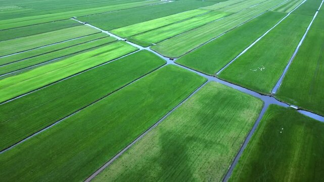 Green pastures call with calm so deep, boundless world, earth can sleep