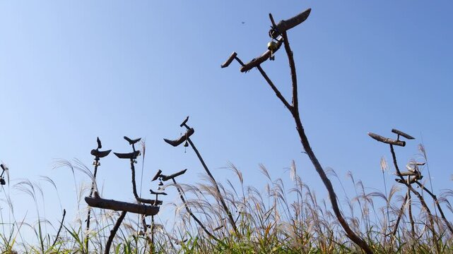 언덕위 가을바람에 흔들리는 억새 사이로 솟대가 있습니다.There is a pole among the silver grass swaying in the autumn breeze on the hill.