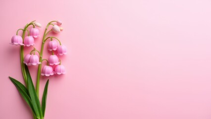 Fototapeta premium Elegant pink lily of the valley flowers arranged on a clean background, highlighting their serene beauty