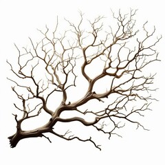 A silhouette of a tree isolated on white background, showcasing its branches, leafless, and natural pattern