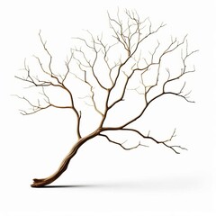 A black silhouette of a leafless tree with branches and trunk on a white background representing a cold winter landscape