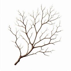 Fototapeta premium A black silhouette of a leafless tree with branches and trunk on a white background representing a cold winter landscape