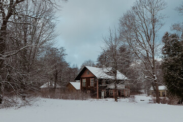 Snow covered village in Estonia featuring rustic wooden houses surrounded by winter trees