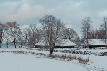 Snow covered countryside in Estonia featuring traditional houses and bare trees during winter