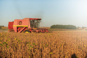 Obraz premium Harvester working in Fields Harvesting Soy