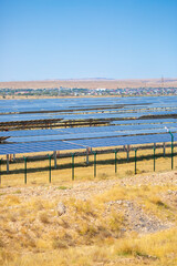 Solar panel fields in large quantities. Solar panels as alternative energy sources safe for the environment.
