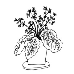 Home flowers in pot drawing with line-art on white backgrounds