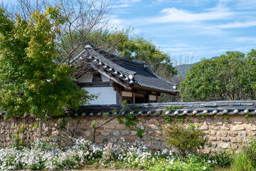 Fototapeta premium Korean Traditional House Scenery in Autumn