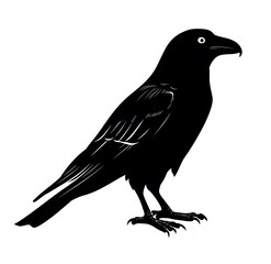 Obraz premium Black and White Silhouette of a Raven in Profile