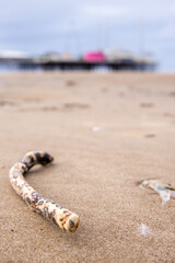 Rubbish That Has Washed Up On The Shores From The Ocean