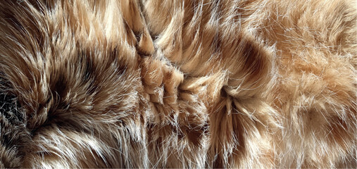 Soft brown cat fur texture. Natural texture of cat fur. Texture of a brown fur coat. Striped kaot wool. Natural animal fur. Fashion and design, interior design.