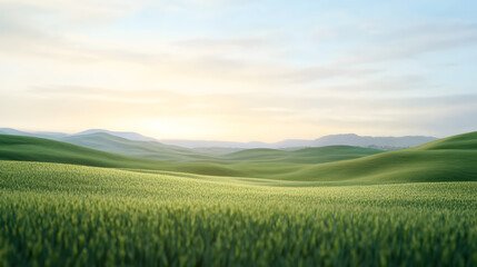 Fototapeta premium A Serene Morning Embrace: Lush Green Fields Bathed in Soft Sunrise Light, Inviting Peace and Reflection in Nature's Beauty