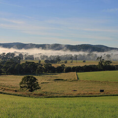 Fogy morning in rural New South Wales, Telegraph Point.