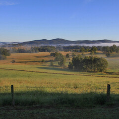 Autumn morning in rural Wauchope, Australia