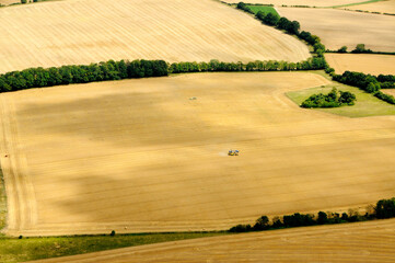 Obraz premium Summer crop fields with combine harvester brining in the wheat 