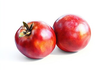 Fototapeta premium A pair of juicy red apples sit side by side on a clean white surface