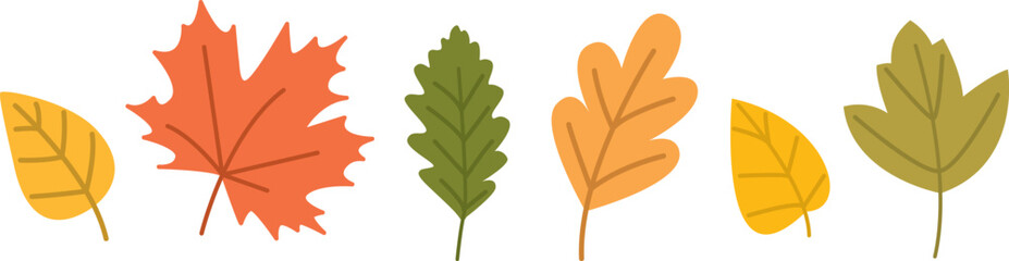 Set of colorful autumn leaves.  Collection of fall elements isolated on white background