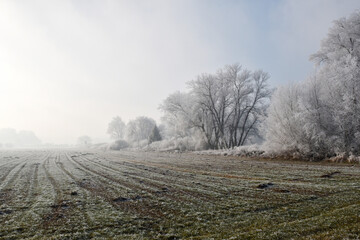 Winterlandschaft, Raureiflandschaft