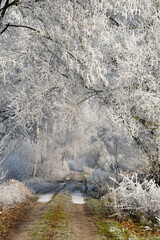 Winterlandschaft, Raureiflandschaft