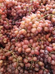 Red grapes are a fruit that does not make you fat because they are low in calories and high in fiber.
