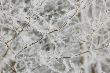 Raureif, Eiskristalle