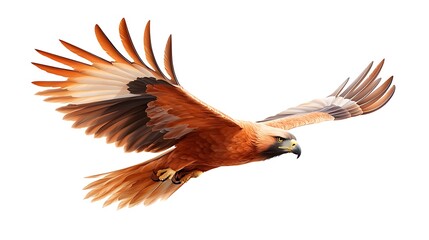 Fototapeta premium Majestic eagle soars through the sky with graceful wings spread wide