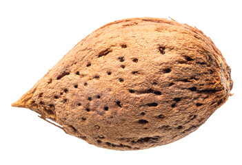 Almond nut in shell and shelled almonds isolated on white background. File contains clipping path.