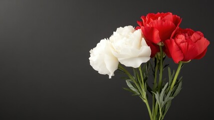 Fototapeta premium Floral Harmony: A captivating arrangement of vibrant red and pristine white ranunculus blooms, perfectly positioned, on a stark yet elegant black background, embodying the delicate beauty of nature.