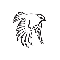 bird, eagle, wings, animal drawing vector design 