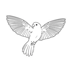 bird, eagle, wings, animal drawing vector design 