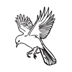 bird, eagle, wings, animal drawing vector design 