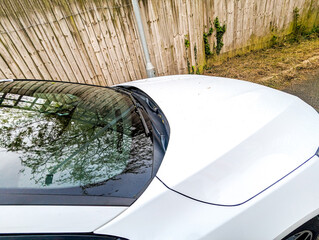 Obraz premium Vehicle Covered In Debris From An Overhanging Willow Tree