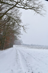 Fototapeta premium Wetter, Schneefall, Schneeschauer