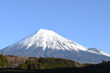 Fototapeta premium FUJI 富士山