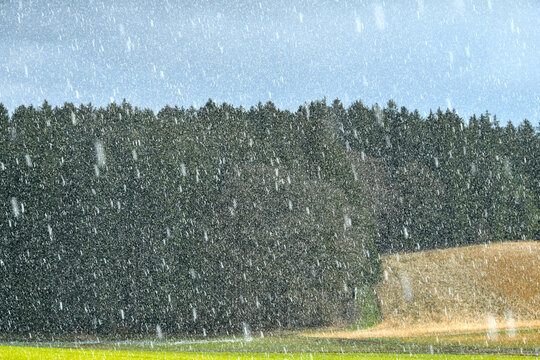 Wetter, Schneefall, Schneeschauer