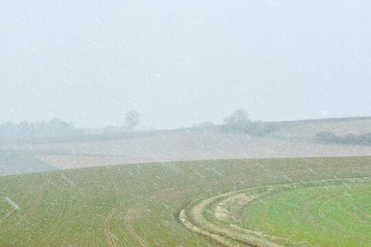 Wetter, Schneefall, Schneeschauer