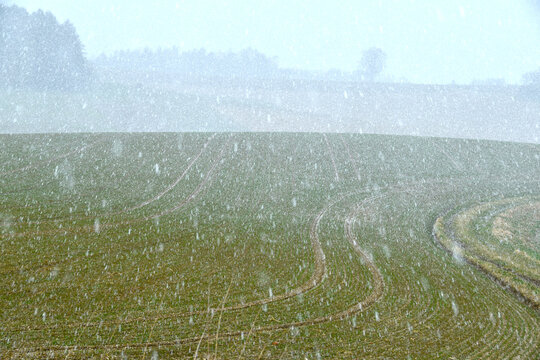 Wetter, Schneefall, Schneeschauer
