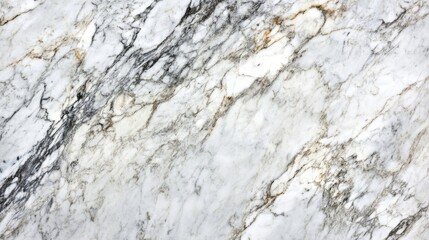 Elegant white marble porcelain tiles texture, capturing the intricate patterns and smooth finish of marble. Ideal for design projects, with ample copy space for creative use.