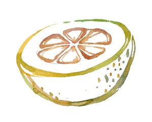 Hand-painted watercolor illustration of a half pomelo with a delicate, linear style and vibrant colors. Perfect for culinary designs, healthy lifestyle themes, and botanical projects.