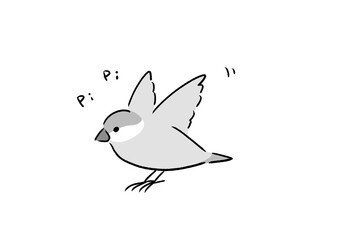 元気なシルバー文鳥 mono