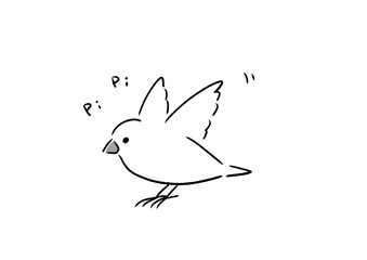 元気な白文鳥 mono