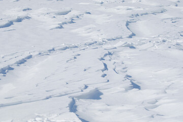 Schnee, Winter, Schwarzwald