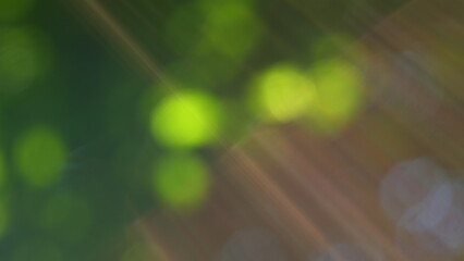 Beams Of Light. Soft Sunrays Through Foliage Of Plants. Blurred Abstract Bokeh With Sun Flare....