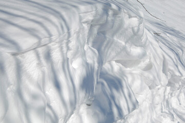 Fototapeta premium Schnee, Winter, Schwarzwald