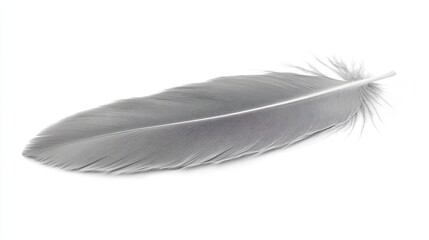 A soft, white feather delicately lies on a smooth, pale surface, illuminated by gentle light that highlights its intricate details and texture, creating a serene and tranquil atmosphere.